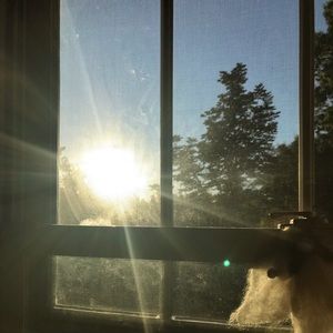 Meet your Posher, Grace